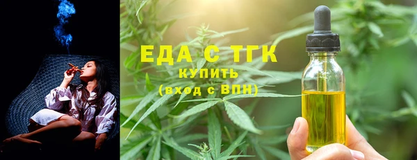 шишки Билибино