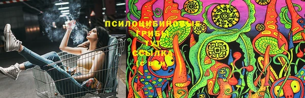 a pvp Бикин