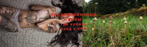 прущая мука Богородск