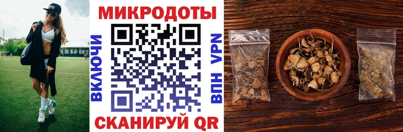 omg ТОР купить наркоту Дагестанские Огни Галлюциногенные грибы Cubensis