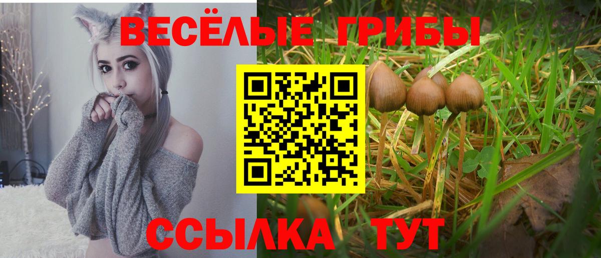 Галлюциногенные грибы GOLDEN TEACHER  Вход с VPN  купить наркоту  Дагестанские Огни 