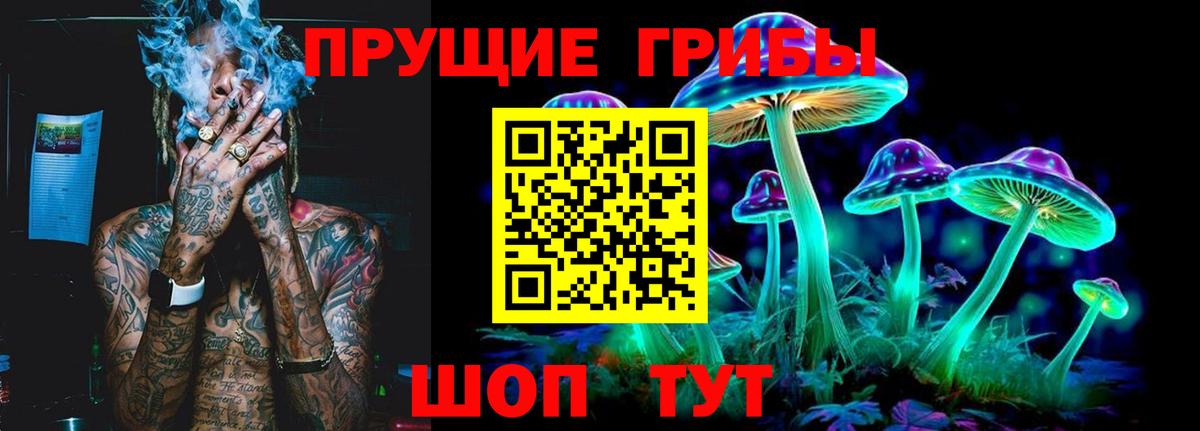 Галлюциногенные грибы прущие грибы Дагестанские Огни